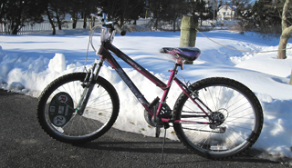 Shar's new commuter vehicle...